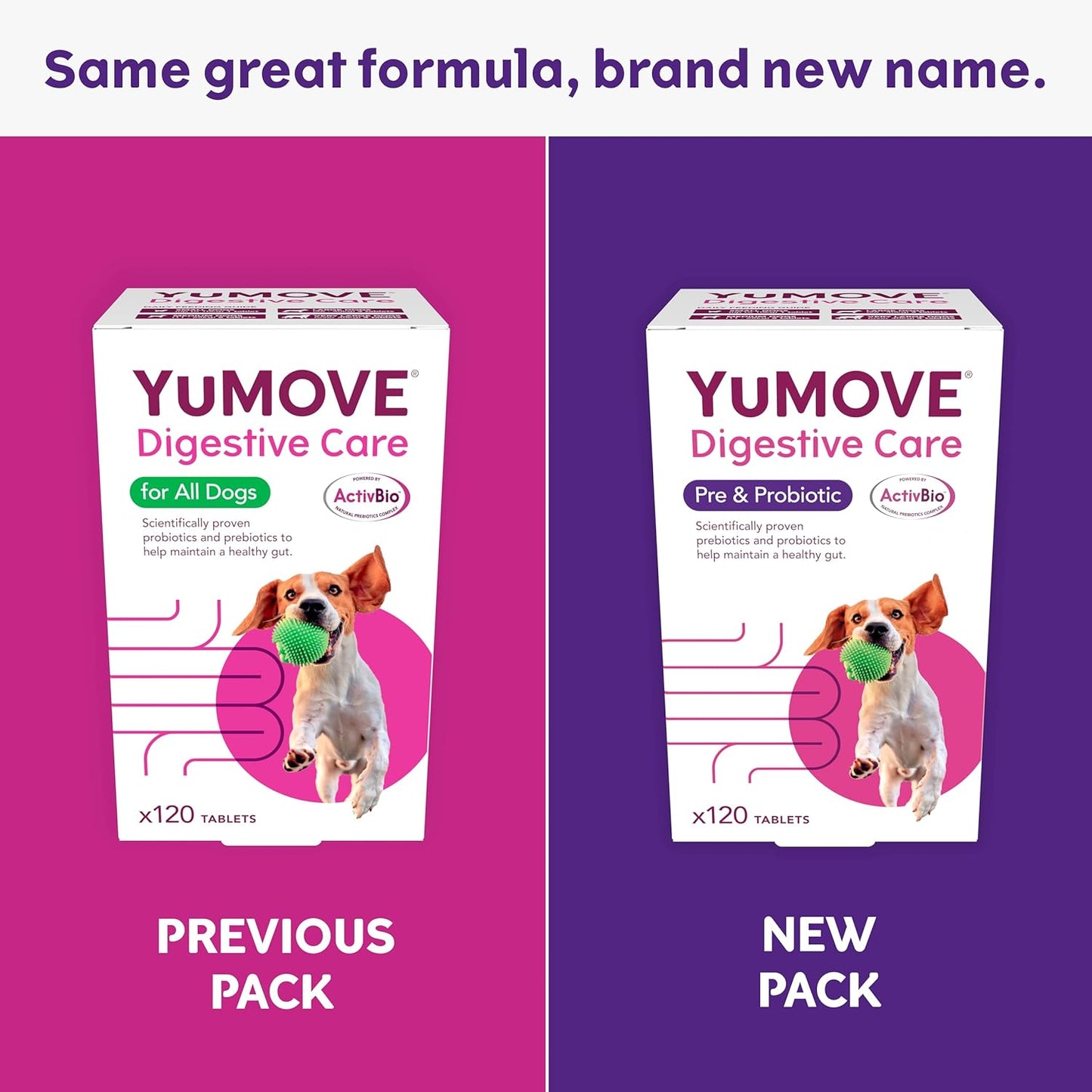 YuMOVE Digestive Care | Dog Pre and Probiotics Supplement for Gut Health and Digestive Support | All Ages and Breeds with Sensitive Digestion | 120 Tablets - BestPet Uk