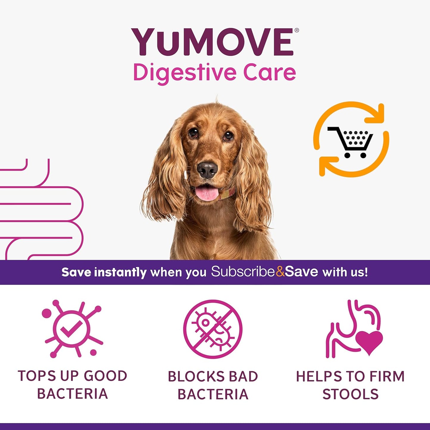 YuMOVE Digestive Care | Dog Pre and Probiotics Supplement for Gut Health and Digestive Support | All Ages and Breeds with Sensitive Digestion | 120 Tablets - BestPet Uk
