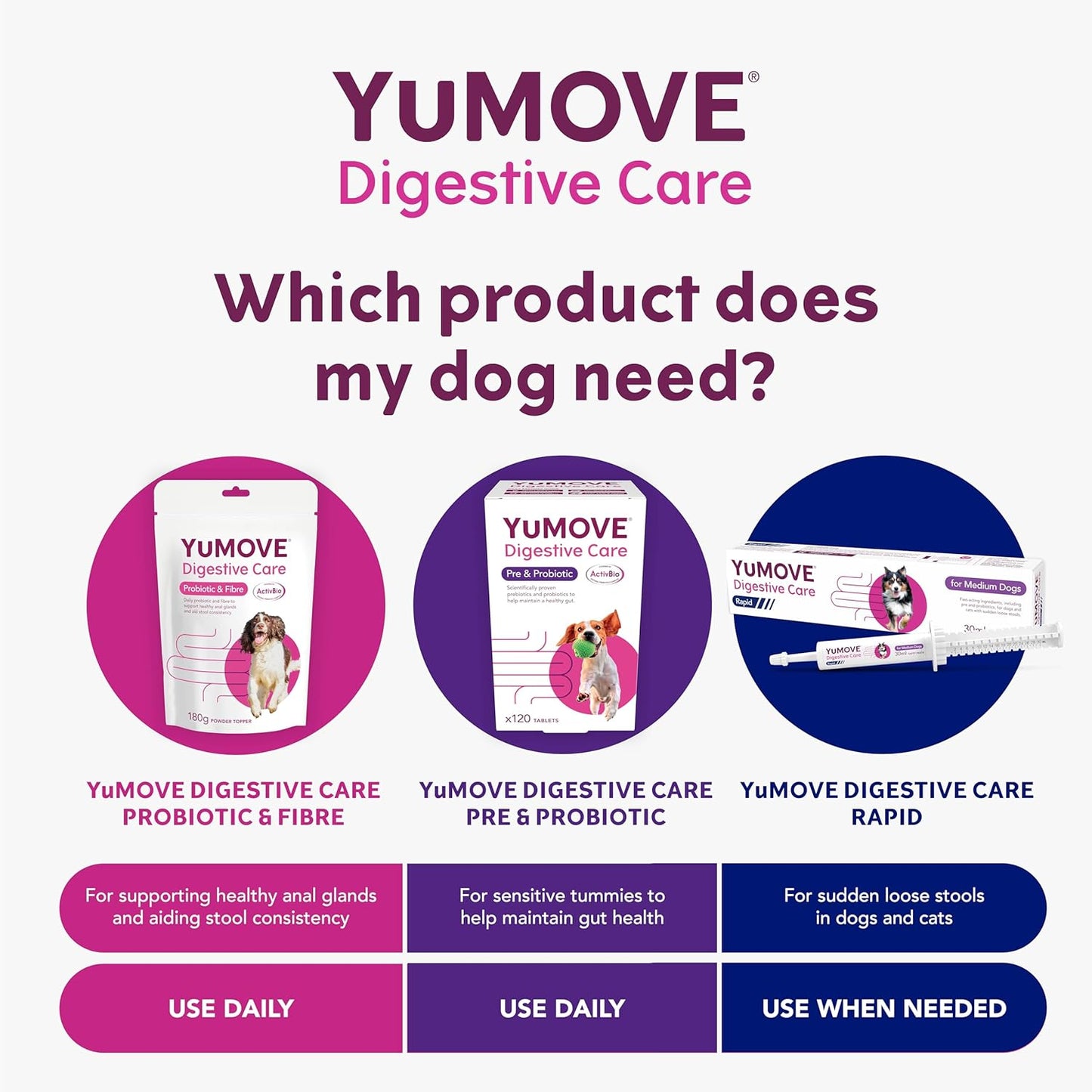 YuMOVE Digestive Care | Dog Pre and Probiotics Supplement for Gut Health and Digestive Support | All Ages and Breeds with Sensitive Digestion | 120 Tablets - BestPet Uk