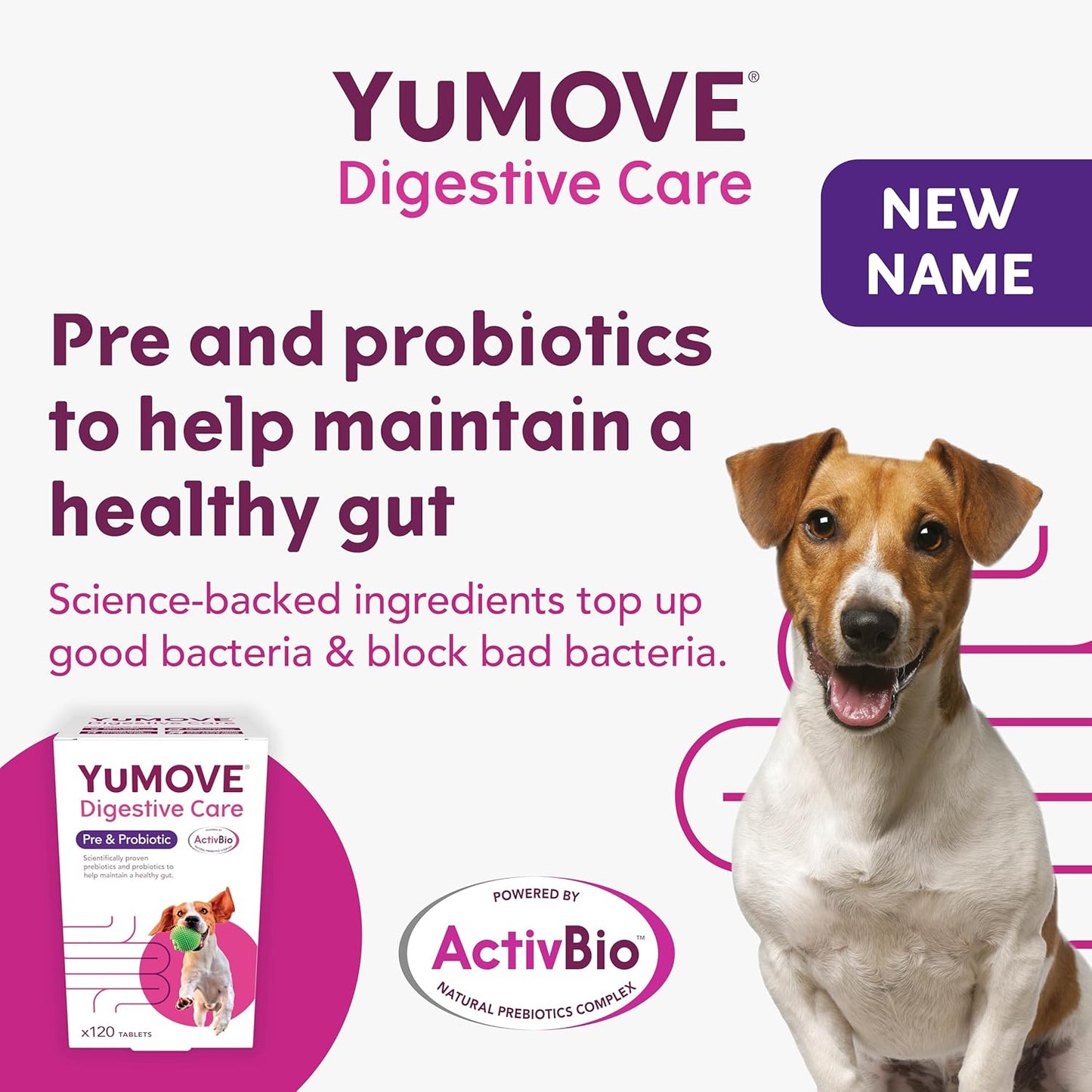 YuMOVE Digestive Care | Dog Pre and Probiotics Supplement for Gut Health and Digestive Support | All Ages and Breeds with Sensitive Digestion | 120 Tablets - BestPet Uk