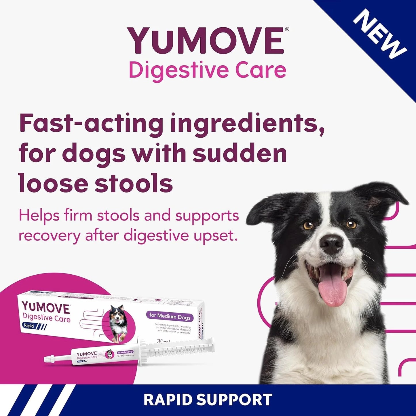 YuMOVE Digestive Care Rapid Dog Probiotic Paste - BestPet Uk