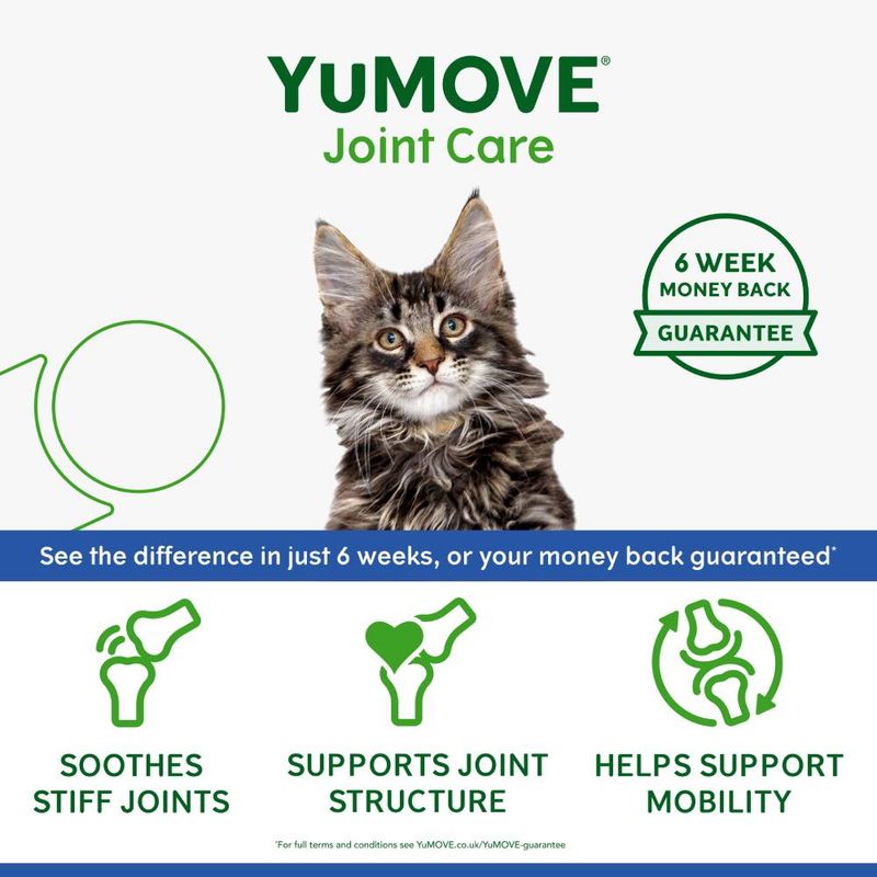 YuMOVE Senior Cat Joint Supplement for Joint Care & Joint Aid, for Older, Stiff Cats with Glucosamine, Chondroitin & Green Lipped Mussel, 60 Capsules - BestPet Uk
