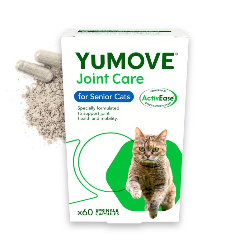 YuMOVE Senior Cat Joint Supplement for Joint Care & Joint Aid, for Older, Stiff Cats with Glucosamine, Chondroitin & Green Lipped Mussel, 60 Capsules - BestPet Uk