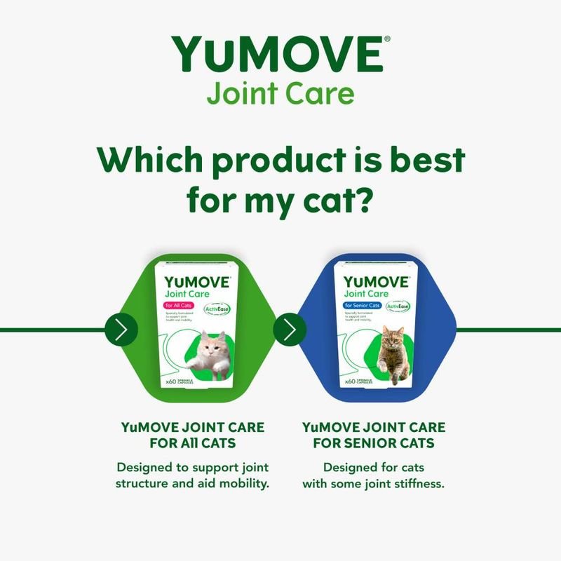 YuMOVE Senior Cat Joint Supplement for Joint Care & Joint Aid, for Older, Stiff Cats with Glucosamine, Chondroitin & Green Lipped Mussel, 60 Capsules - BestPet Uk