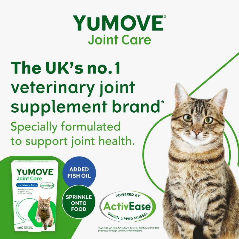 YuMOVE Senior Cat Joint Supplement for Joint Care & Joint Aid, for Older, Stiff Cats with Glucosamine, Chondroitin & Green Lipped Mussel, 60 Capsules - BestPet Uk