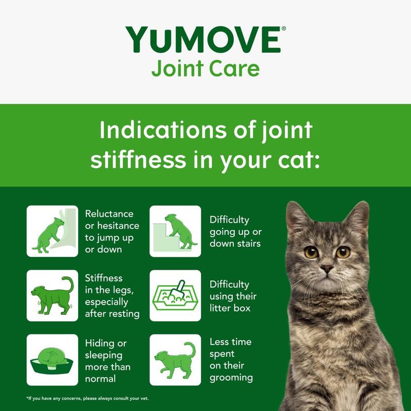 YuMOVE Senior Cat Joint Supplement for Joint Care & Joint Aid, for Older, Stiff Cats with Glucosamine, Chondroitin & Green Lipped Mussel, 60 Capsules - BestPet Uk