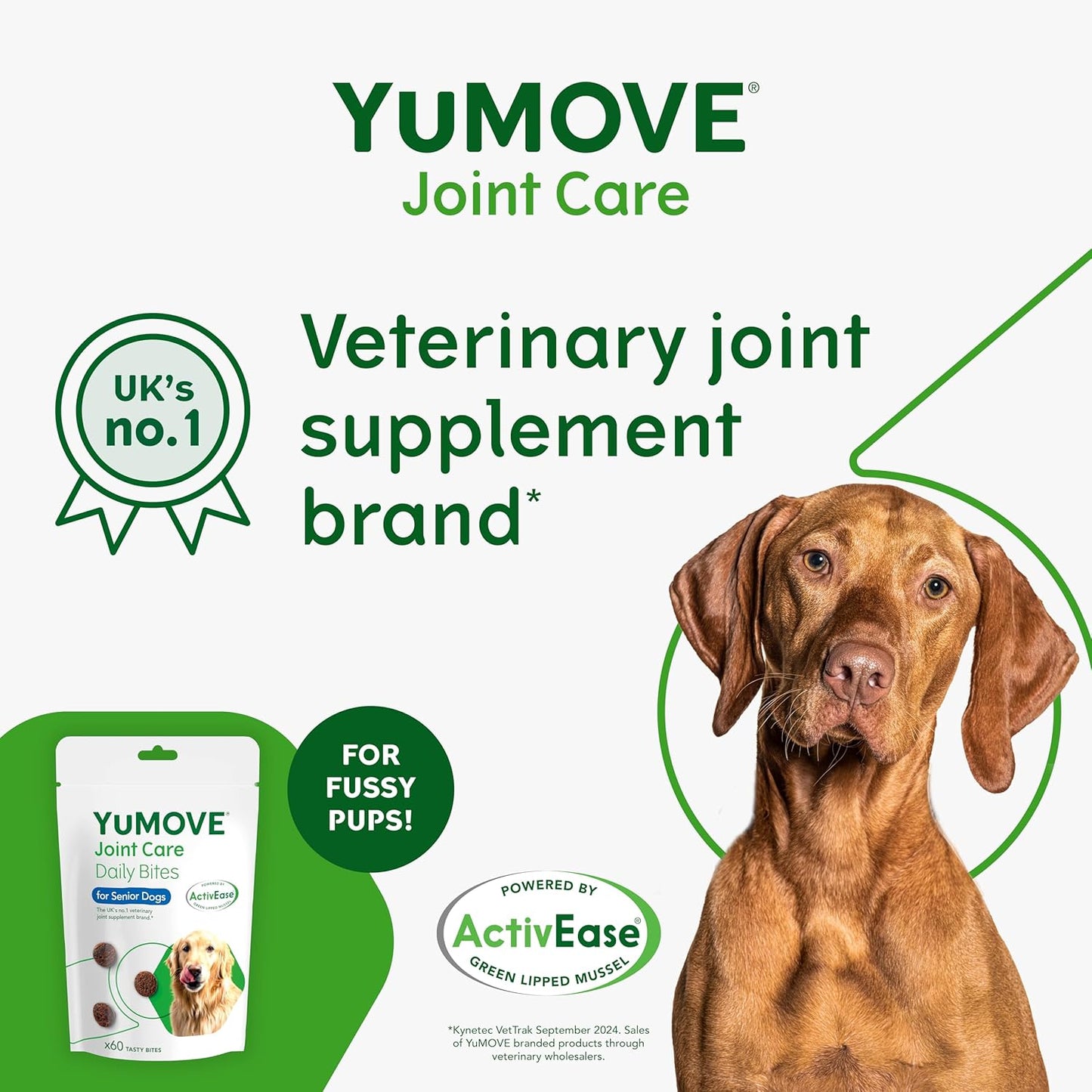 YuMOVE Senior Dog Joint Supplement, Daily Bites for Joint Care, Essential Dog Hip and Joint Support for Senior Dogs with Glucosamine, Chondroitin, Green Lipped Mussel, Aged 8+, 60 Chews - BestPet Uk