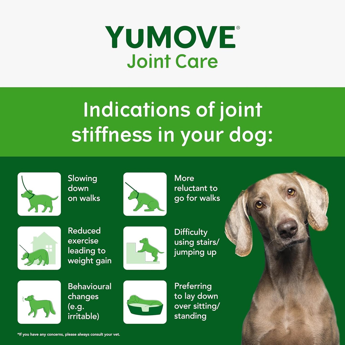 YuMOVE Senior Dog Joint Supplement, Daily Bites for Joint Care, Essential Dog Hip and Joint Support for Senior Dogs with Glucosamine, Chondroitin, Green Lipped Mussel, Aged 8+, 60 Chews - BestPet Uk