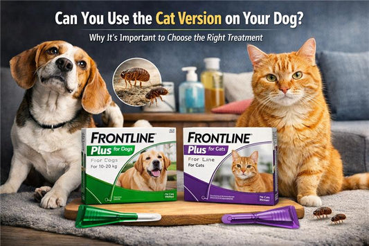 Can Frontline Plus for Cats Be Used on Dogs? - BestPet Uk