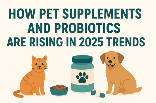 How Pet Supplements and Probiotics Are Rising in 2025 Trends - BestPet Uk