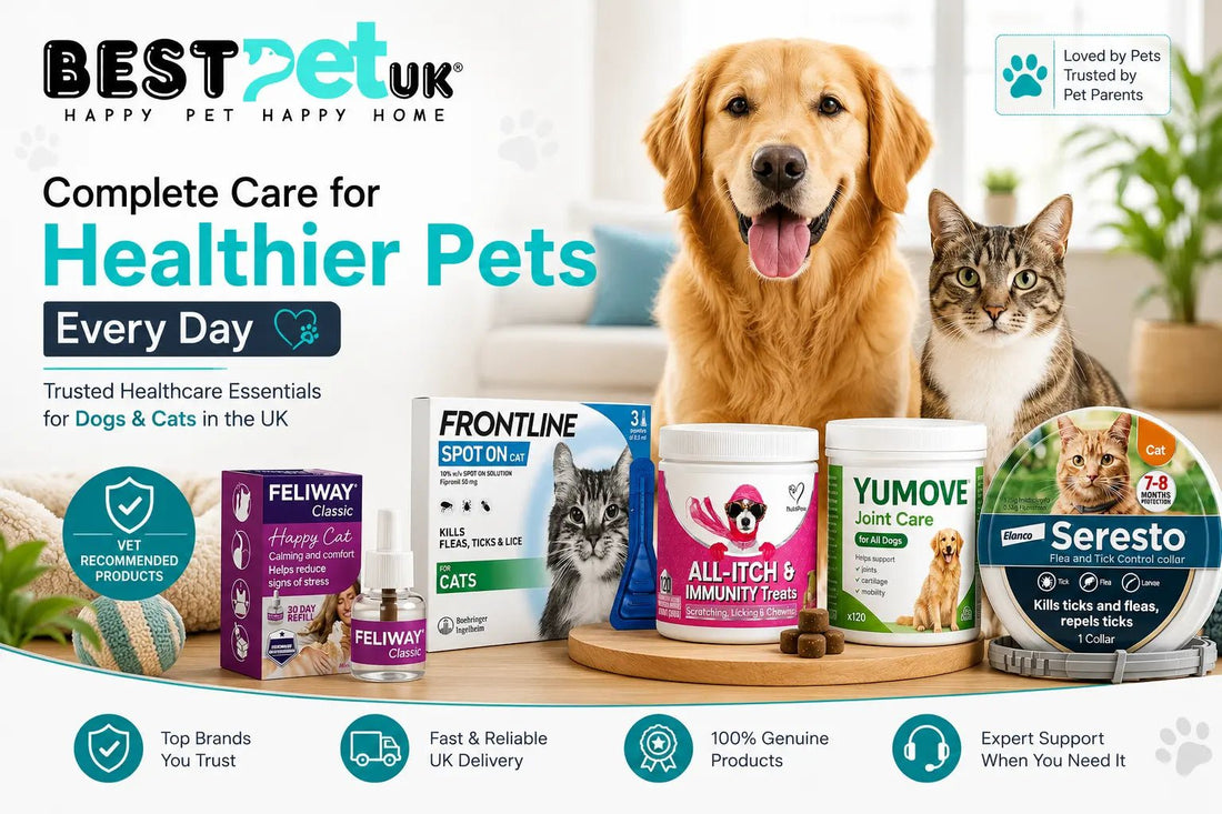 Ultimate Guide to Pet Healthcare Products in UK for Healthier Dogs and Cats in 2026 - BestPet Uk