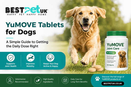 YuMOVE Tablets for Dogs: A Simple Guide to Getting the Daily Dose Right - BestPet Uk