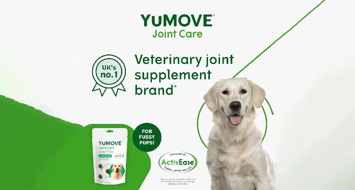 Yumove - BestPet Uk