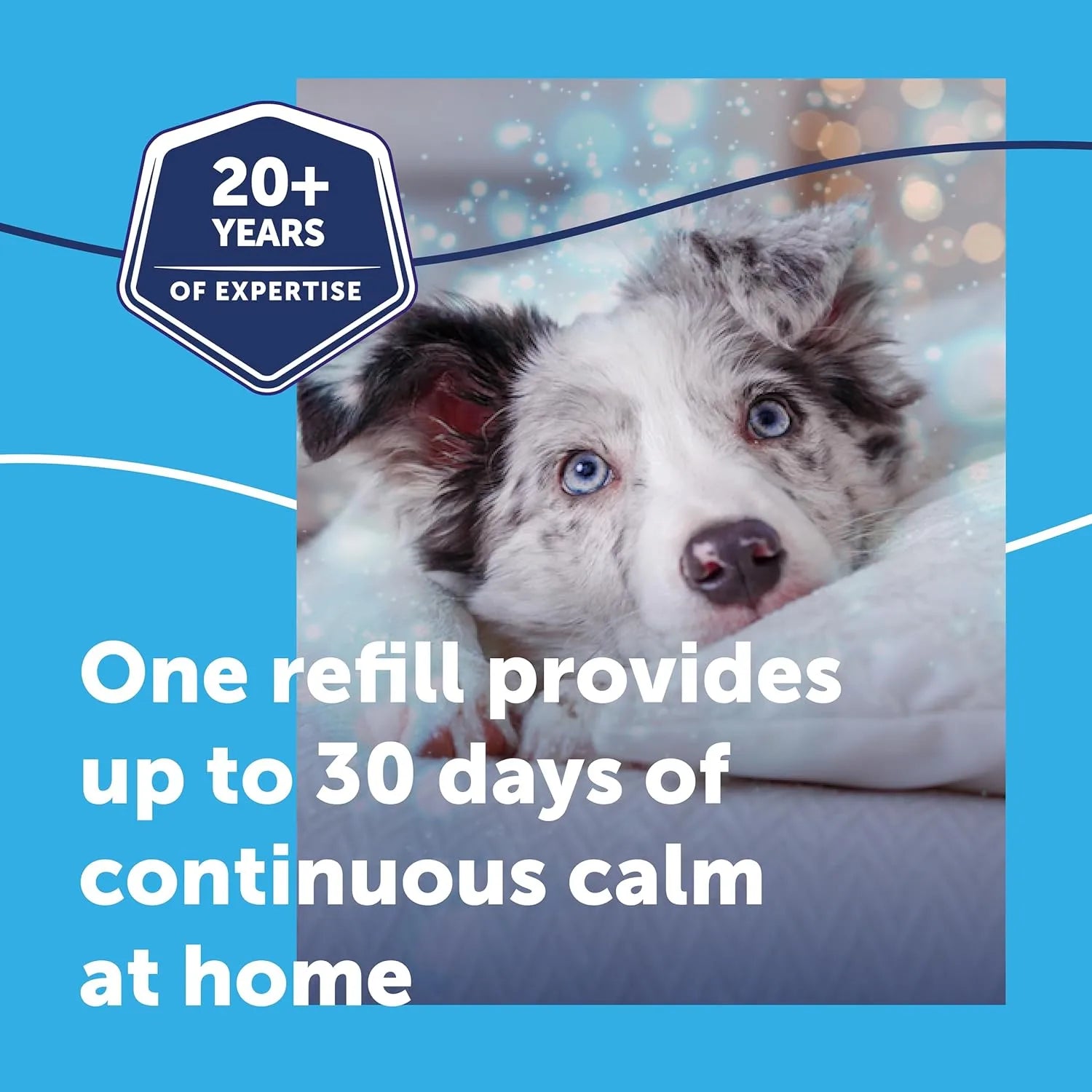 Adaptil Calm Dog Diffuser Refill 48ml 30 Day Stress Relief for Dogs - BestPet Uk