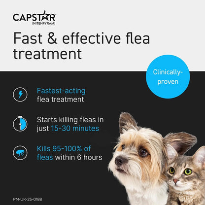 Capstar 57mg Flea Tablets for Large Dogs Oral Flea Treatment 6 Tablets - BestPet Uk