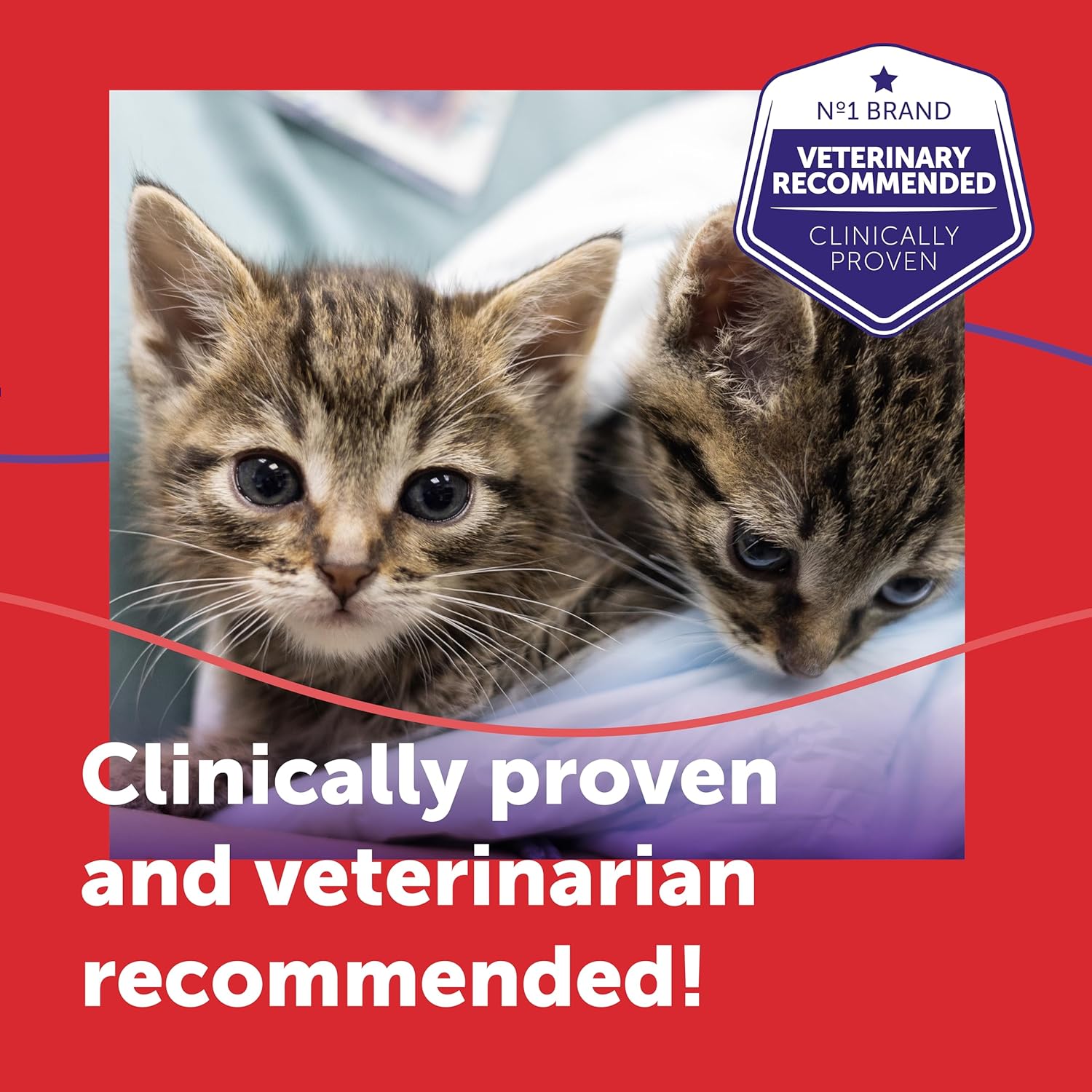 FELIWAY Friends 30 Day Refill, Helps to Reduce Conflict in Multi - Cat Households, Helping Cats Get Along Better, 48 ml - BestPet Uk