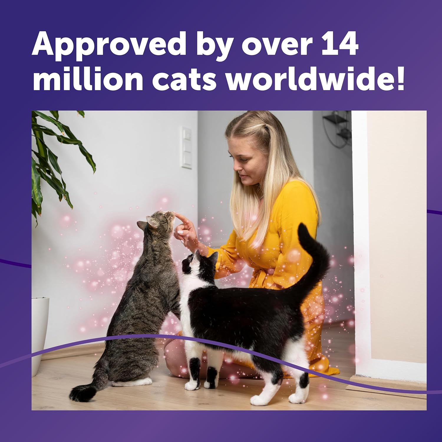FELIWAY Friends 30 Day Refill, Helps to Reduce Conflict in Multi - Cat Households, Helping Cats Get Along Better, 48 ml - BestPet Uk