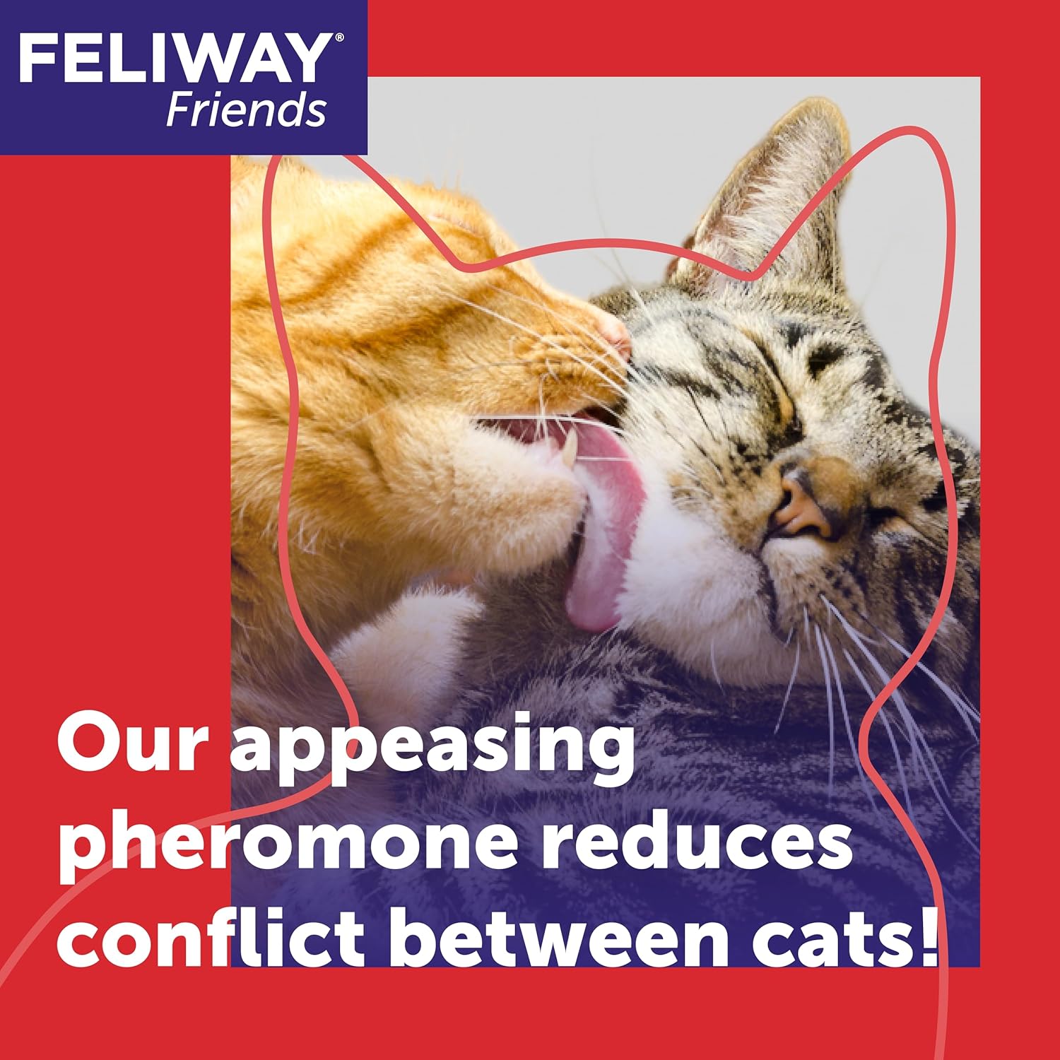 FELIWAY Friends 30 Day Refill, Helps to Reduce Conflict in Multi - Cat Households, Helping Cats Get Along Better, 48 ml - BestPet Uk