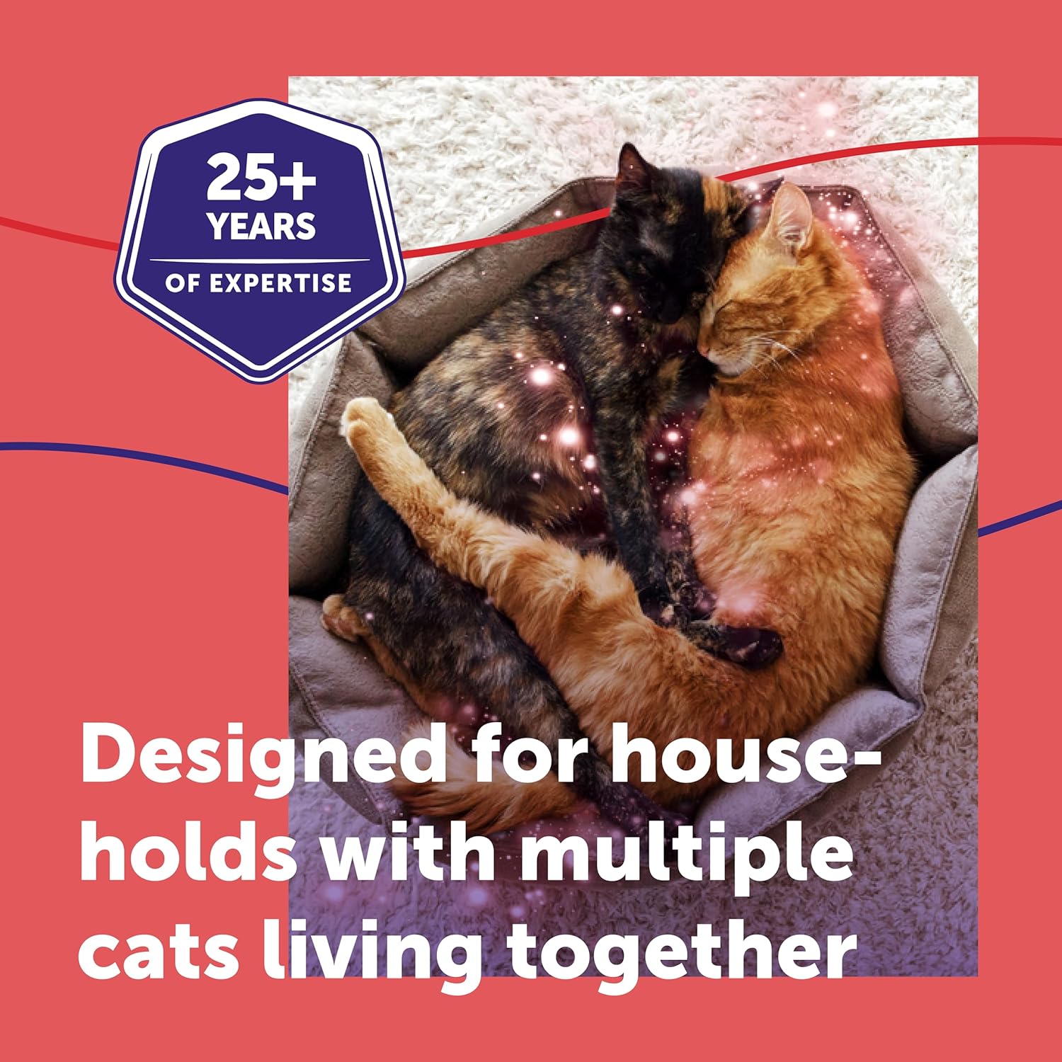 FELIWAY Friends 30 Day Refill, Helps to Reduce Conflict in Multi - Cat Households, Helping Cats Get Along Better, 48 ml - BestPet Uk