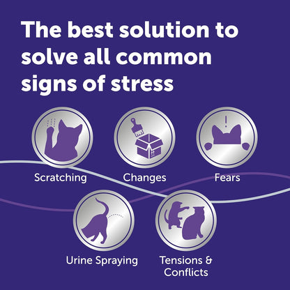 FELIWAY Optimum 30 Day Cat Calming Odourless Refill for Pheromone Diffuser, 48ml - Helps Solve Signs of Stress in Cats & Kittens, Veterinary Recommended, Drug - free, Clinically Proven - BestPet Uk