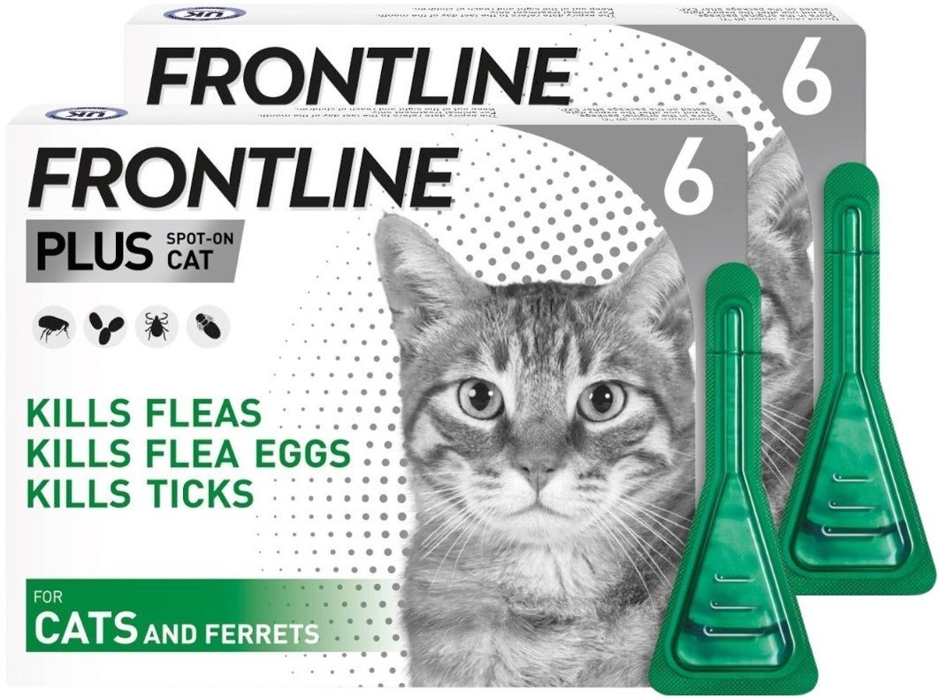 FRONTLINE Plus Flea & Tick Treatment for Cats and Ferrets - BestPet Uk