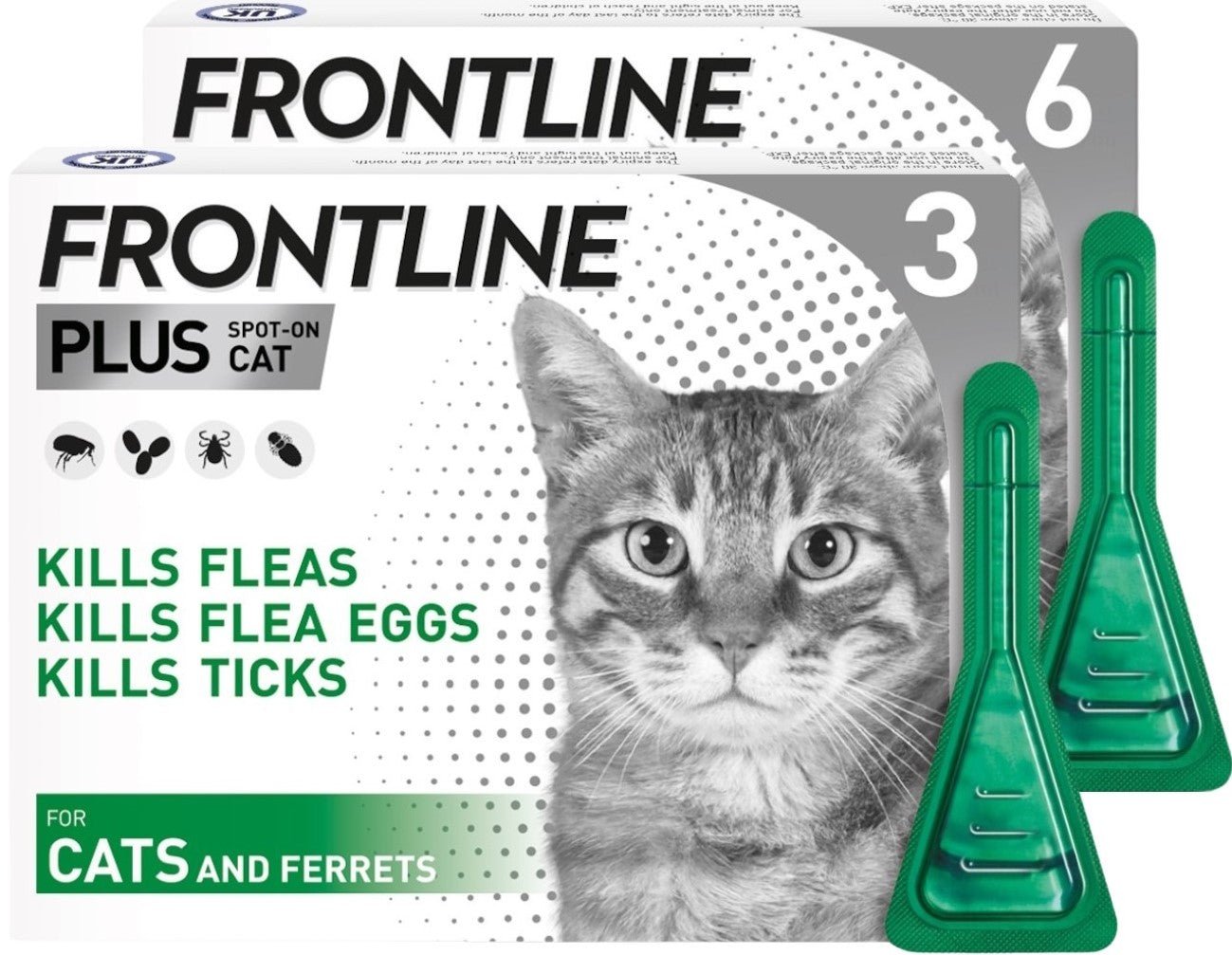 FRONTLINE Plus Flea & Tick Treatment for Cats and Ferrets - BestPet Uk
