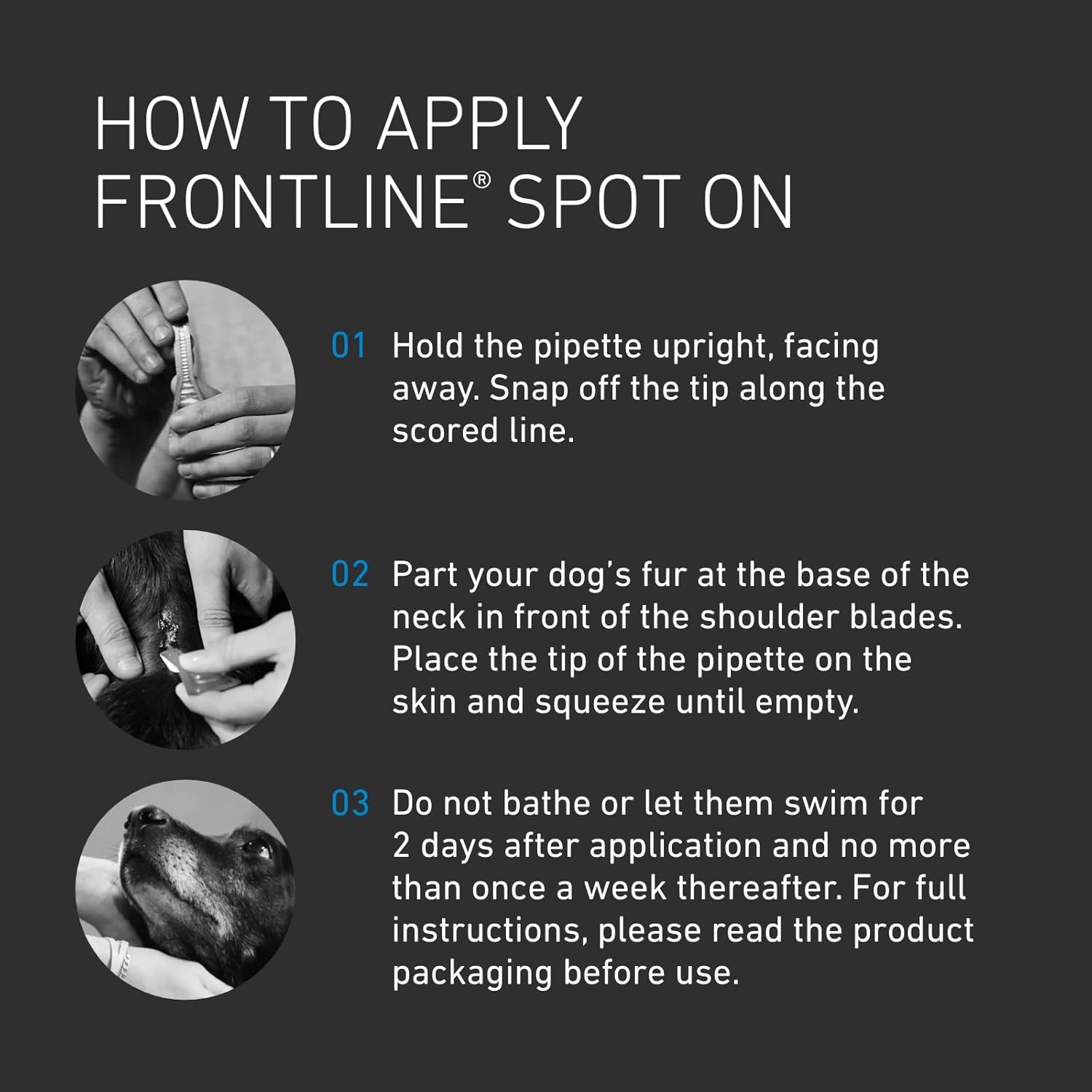 FRONTLINE Spot On Flea & Tick Treatment for Small Dog (2 - 10kg) - BestPet Uk