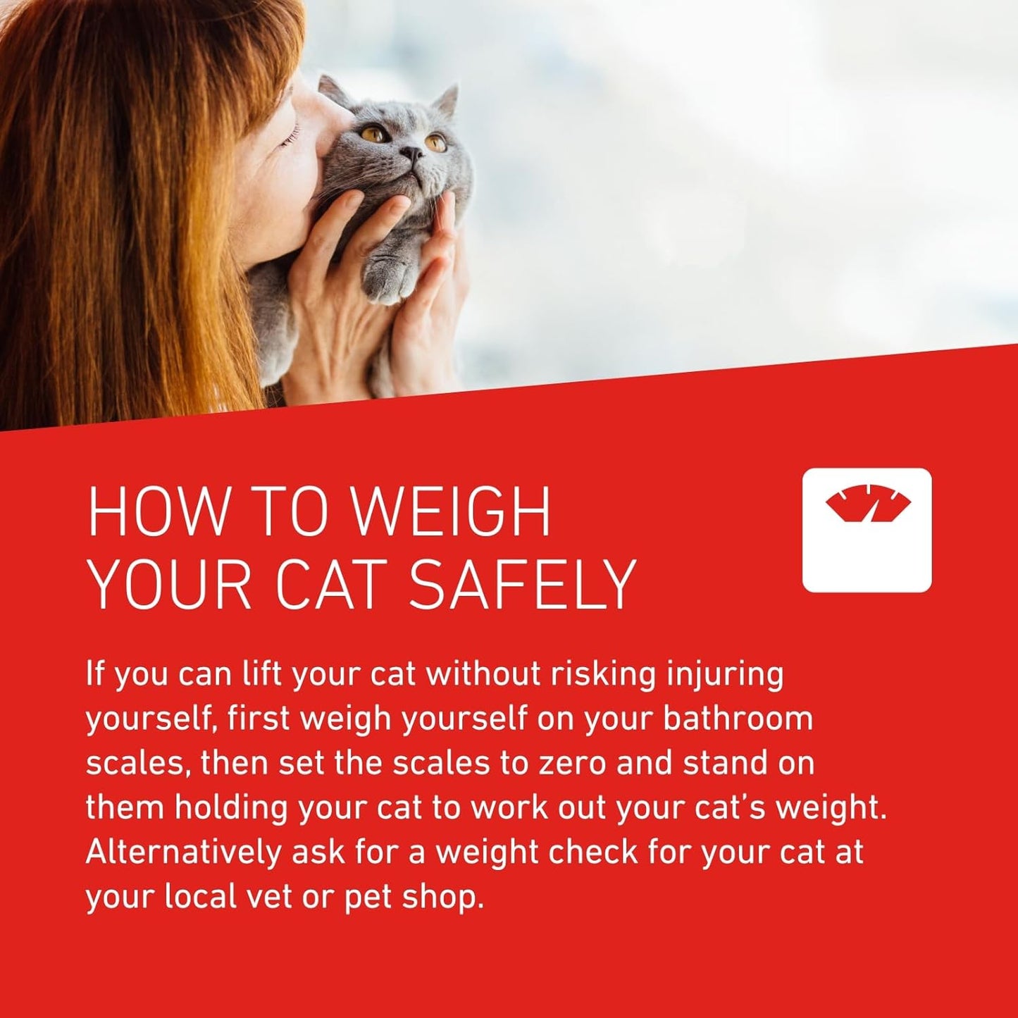 FRONTLINE WORMER - Cat Worming Treatment - 2 Tablets - BestPet Uk