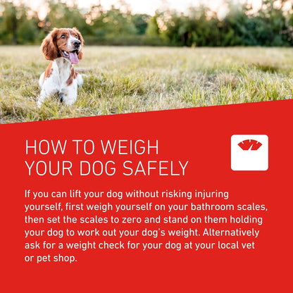 Frontline Wormer XL Tablets for Dogs Over 17.5kg