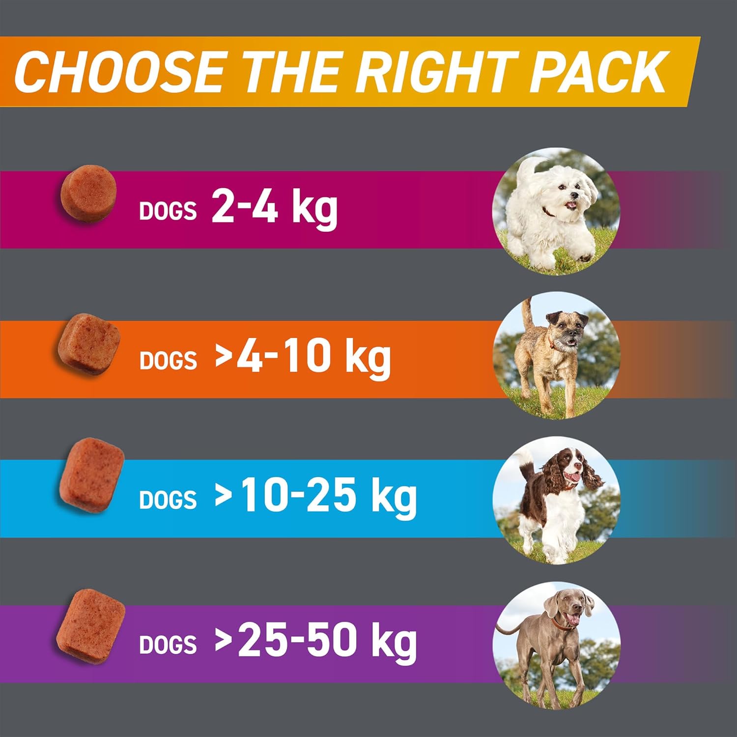 FRONTPRO Chewable Tablets Flea & Tick Treatment for Dogs 3 Pack (4 - 10kg) - BestPet Uk