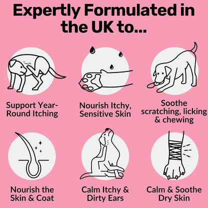 NutriPaw All - Itch Immunity Treats For Dogs - Soothe Itchy Paws, Eyes, Ears, Skin - Stop Itching, Licking, Scratching - Perfect for Small, Medium & Large Dogs - Supports Seasonal Itching - BestPet Uk