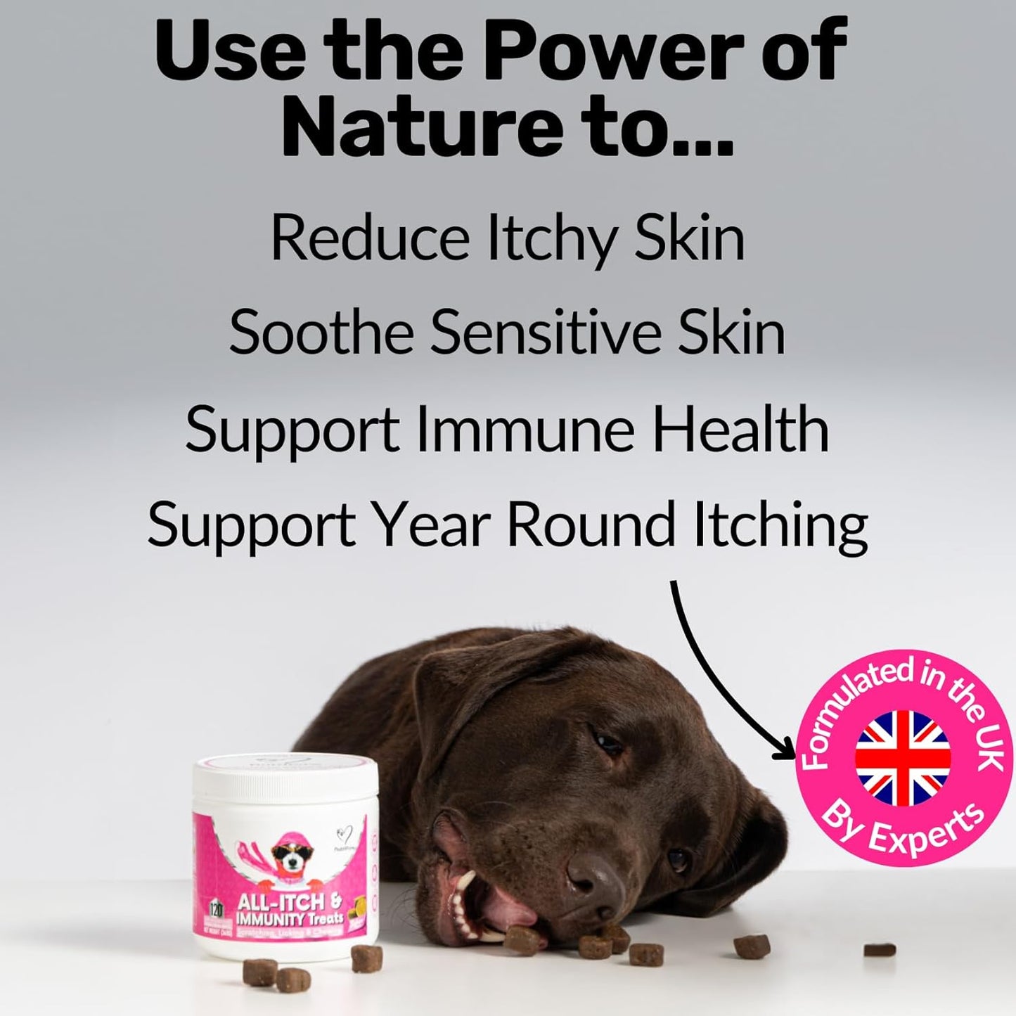 NutriPaw All - Itch Immunity Treats For Dogs - Soothe Itchy Paws, Eyes, Ears, Skin - Stop Itching, Licking, Scratching - Perfect for Small, Medium & Large Dogs - Supports Seasonal Itching - BestPet Uk
