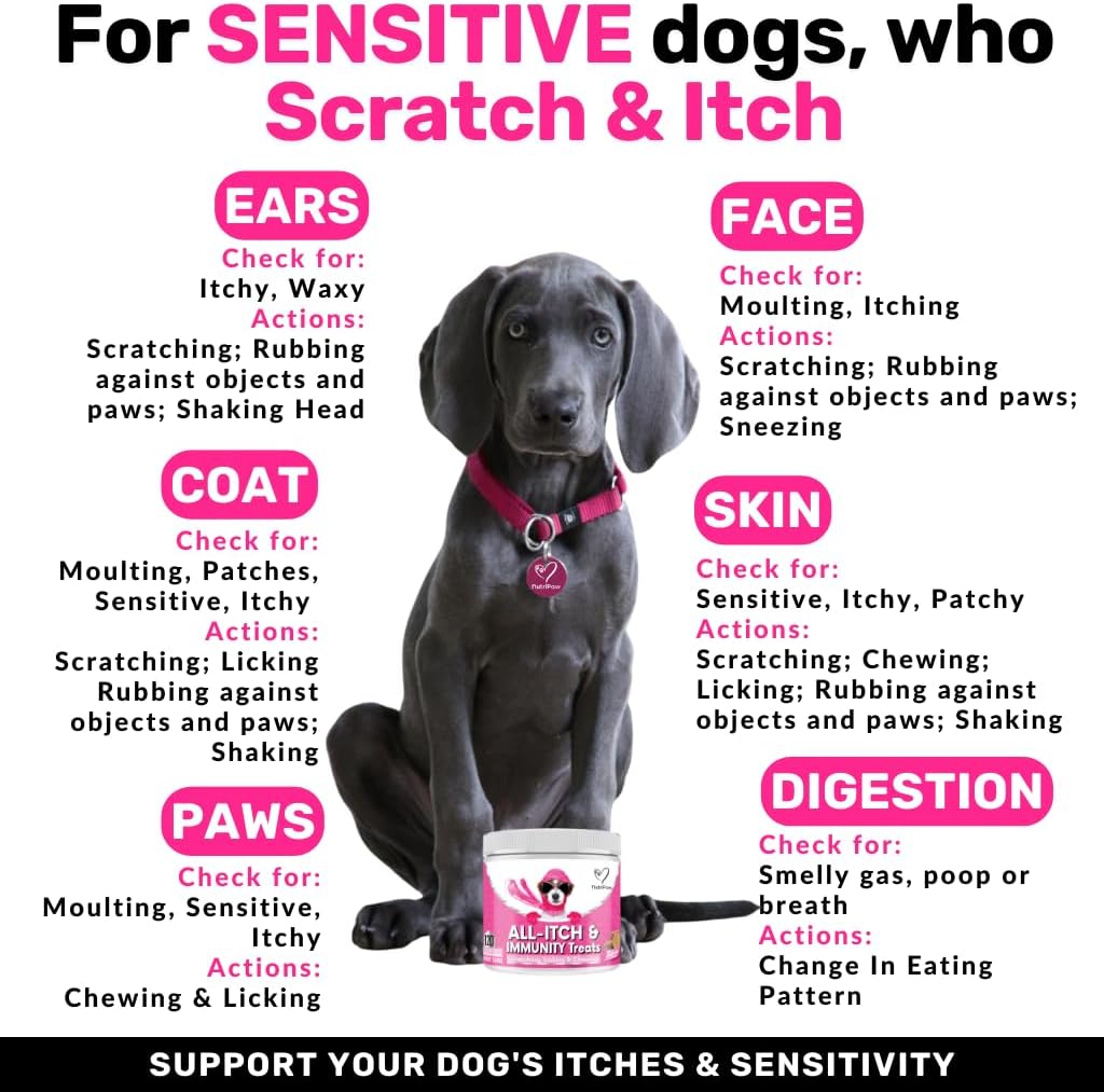 NutriPaw All - Itch Immunity Treats For Dogs - Soothe Itchy Paws, Eyes, Ears, Skin - Stop Itching, Licking, Scratching - Perfect for Small, Medium & Large Dogs - Supports Seasonal Itching - BestPet Uk