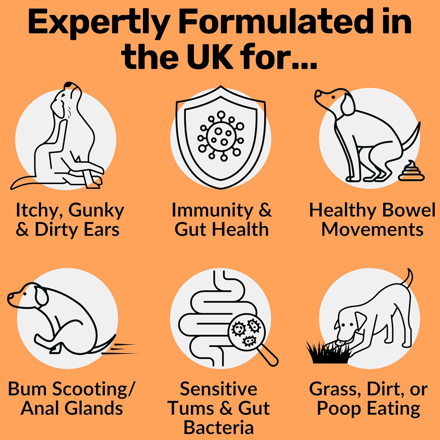 NutriPaw Pre, Pro & Postbiotic Digestive Treats For Dogs - Gut Health, Sensitive Tums, Anal Glands, Scooting, Loose Stools, Smelly, Itchy Ears, Great for All Dogs - BestPet Uk