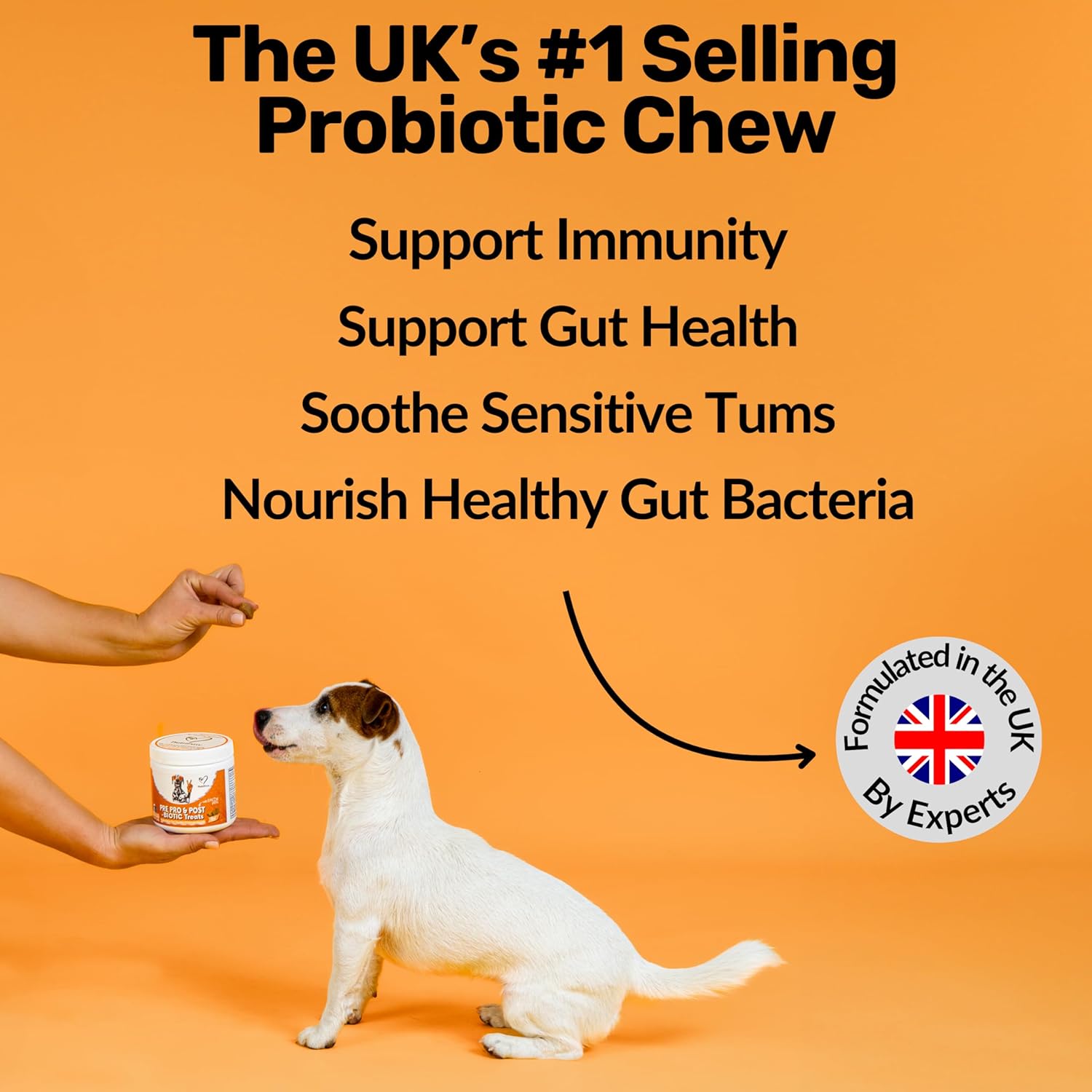 NutriPaw Pre, Pro & Postbiotic Digestive Treats For Dogs - Gut Health, Sensitive Tums, Anal Glands, Scooting, Loose Stools, Smelly, Itchy Ears, Great for All Dogs - BestPet Uk