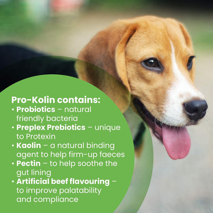 Protexin Pet Health Pro - Kolin for Dogs and Cats Probiotic Paste and Syringe, 60 ml (Pack of 1) - BestPet Uk