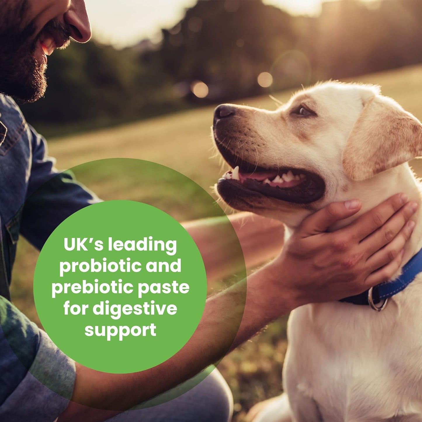 Protexin Pet Health Pro - Kolin for Dogs and Cats Probiotic Paste and Syringe, 60 ml (Pack of 1) - BestPet Uk
