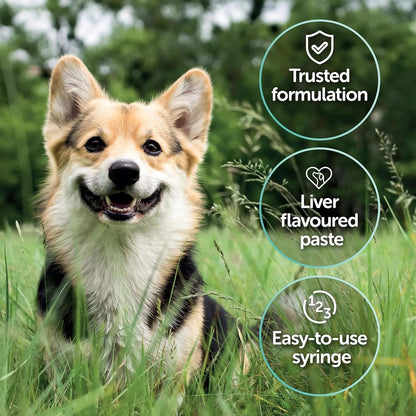 Protexin Pro - Kolin Advanced 60ml Dog Probiotic Paste - BestPet Uk