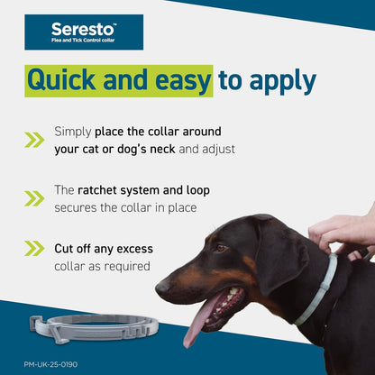 Seresto Flea and Tick Control Collar For Dogs Over 8kg (1 Collar), Long - Lasting & Simple Treatment For Dogs, 7 - 8 Months Of Protection, Keeps Pets Protected From Fleas & Ticks - BestPet Uk