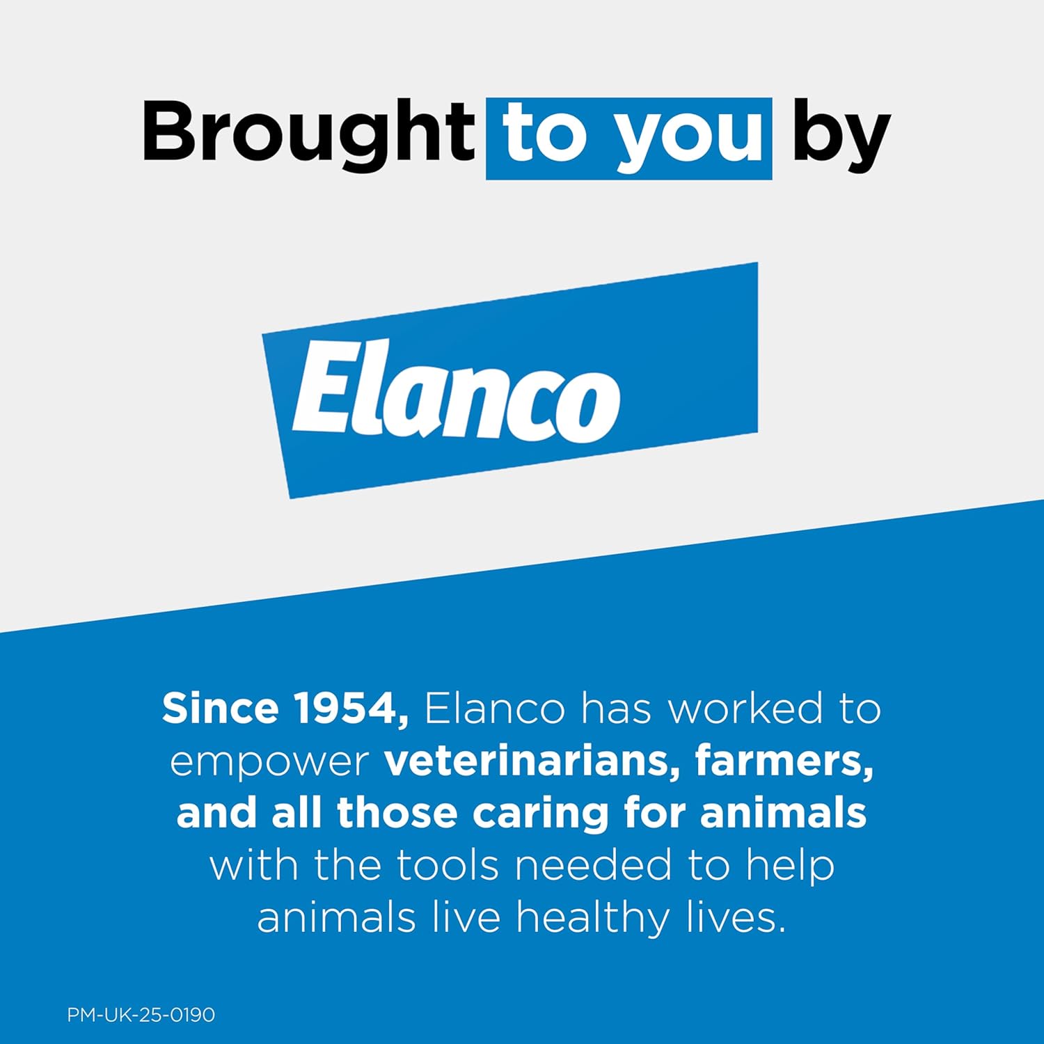 Seresto Flea and Tick Control Collar For Dogs Over 8kg (1 Collar), Long - Lasting & Simple Treatment For Dogs, 7 - 8 Months Of Protection, Keeps Pets Protected From Fleas & Ticks - BestPet Uk