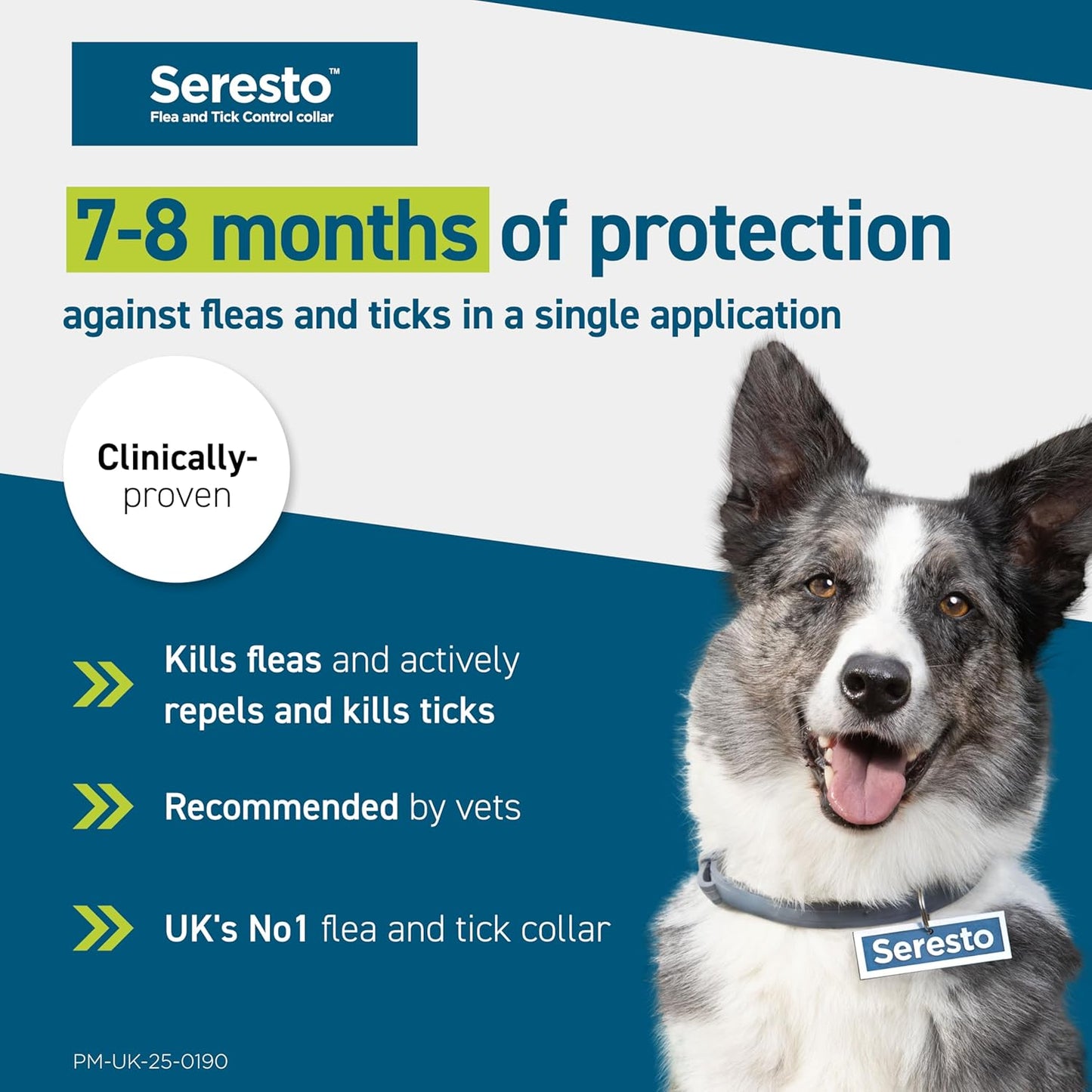 Seresto Flea and Tick Control Collar For Small Dogs Up To 8kg (1 Collar), Long - Lasting & Simple Treatment For Dogs, 7 - 8 Months Of Protection, Keeps Pets Protected From Fleas & Ticks - BestPet Uk