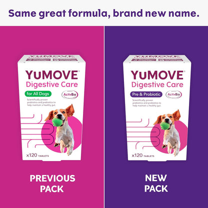 YuMOVE Digestive Care | Dog Pre and Probiotics Supplement for Gut Health and Digestive Support | All Ages and Breeds with Sensitive Digestion | 120 Tablets - BestPet Uk