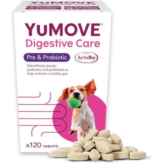 YuMOVE Digestive Care | Dog Pre and Probiotics Supplement for Gut Health and Digestive Support | All Ages and Breeds with Sensitive Digestion | 120 Tablets - BestPet Uk