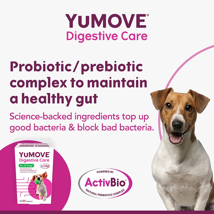 YuMOVE Digestive Care | Dog Prebiotic & Probiotic Supplement | Gut Health Support for Sensitive Digestion | 120 Tablets - BestPet Uk