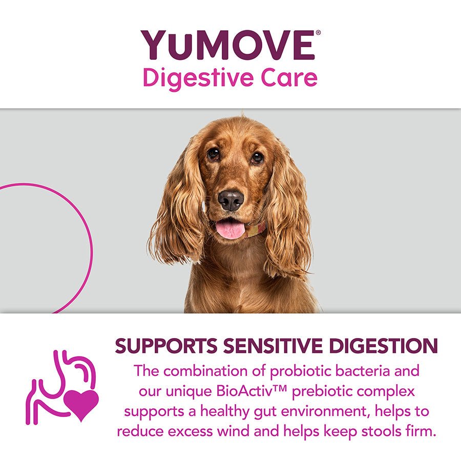 YuMOVE Digestive Care | Dog Prebiotic & Probiotic Supplement | Gut Health Support for Sensitive Digestion | 120 Tablets - BestPet Uk