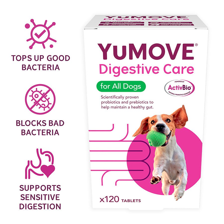 YuMOVE Digestive Care | Dog Prebiotic & Probiotic Supplement | Gut Health Support for Sensitive Digestion | 120 Tablets - BestPet Uk