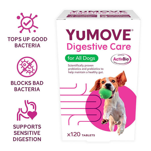 YuMOVE Digestive Care | Dog Prebiotic & Probiotic Supplement | Gut Health Support for Sensitive Digestion | 120 Tablets - BestPet Uk