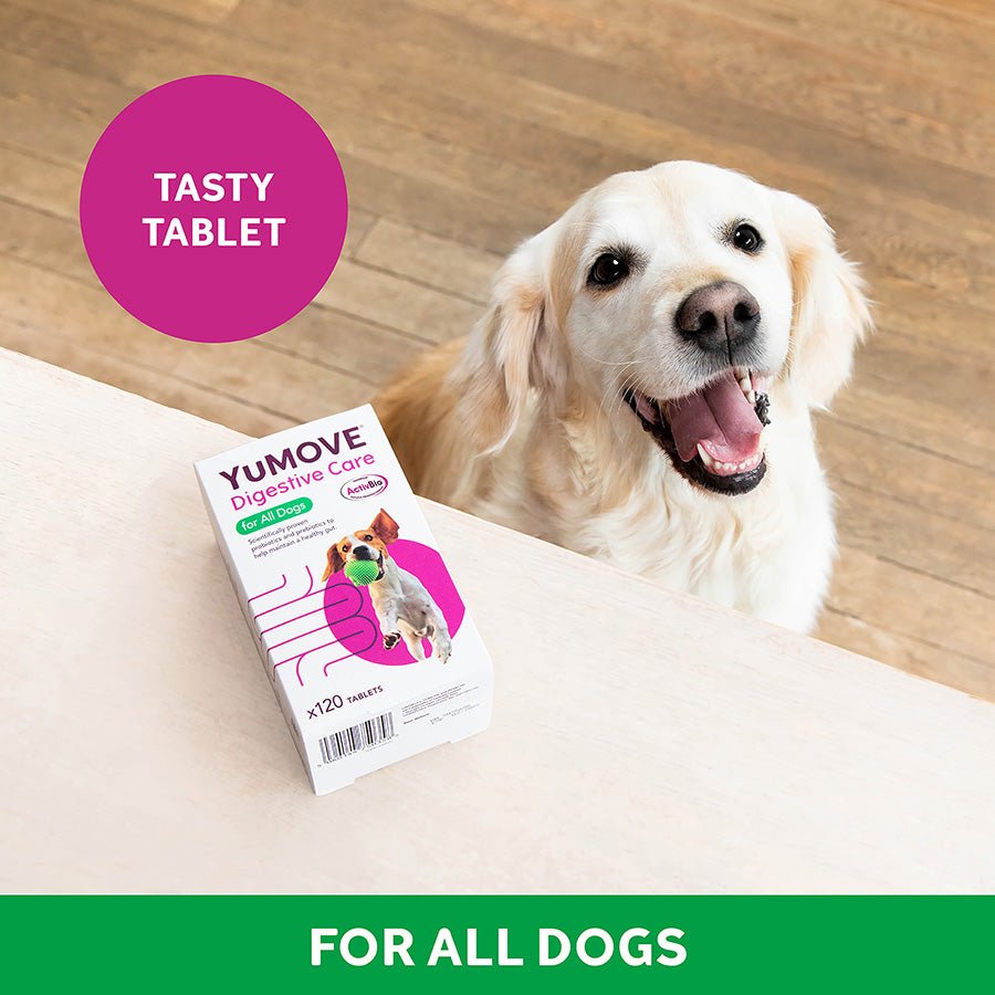 YuMOVE Digestive Care | Dog Prebiotic & Probiotic Supplement | Gut Health Support for Sensitive Digestion | 120 Tablets - BestPet Uk