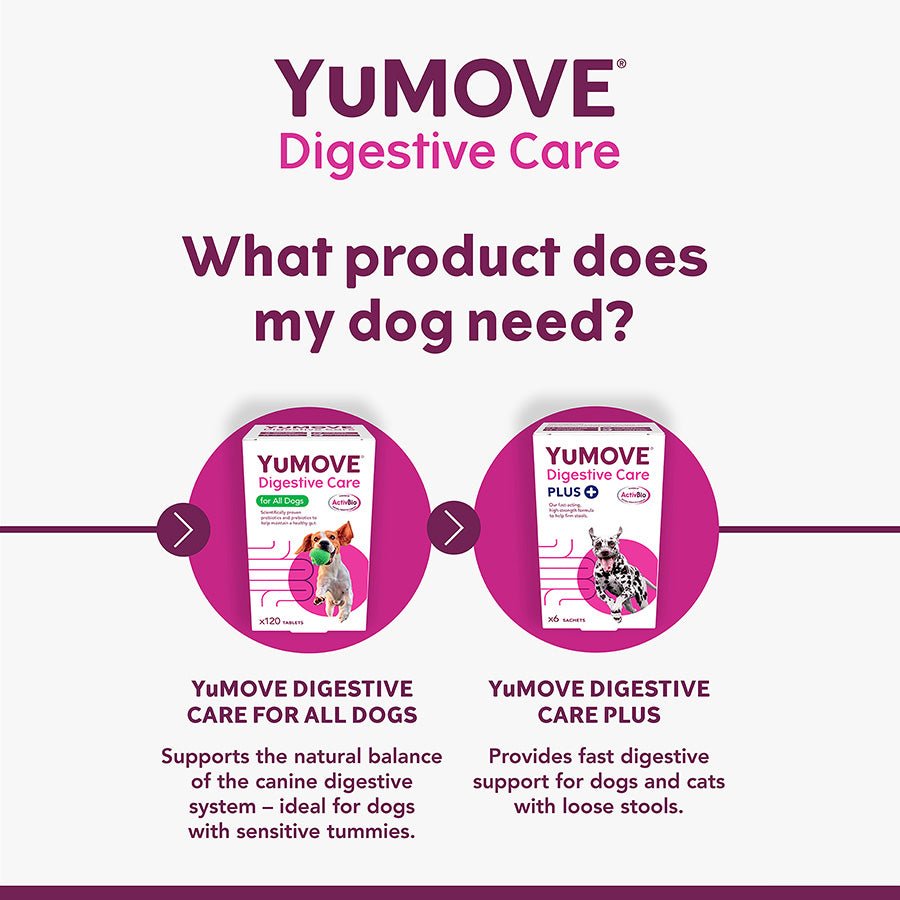 YuMOVE Digestive Care | Dog Prebiotic & Probiotic Supplement | Gut Health Support for Sensitive Digestion | 120 Tablets - BestPet Uk