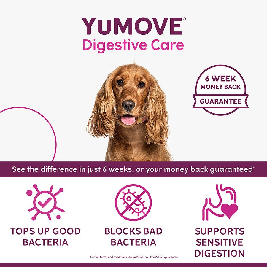 YuMOVE Digestive Care | Dog Prebiotic & Probiotic Supplement | Gut Health Support for Sensitive Digestion | 120 Tablets - BestPet Uk